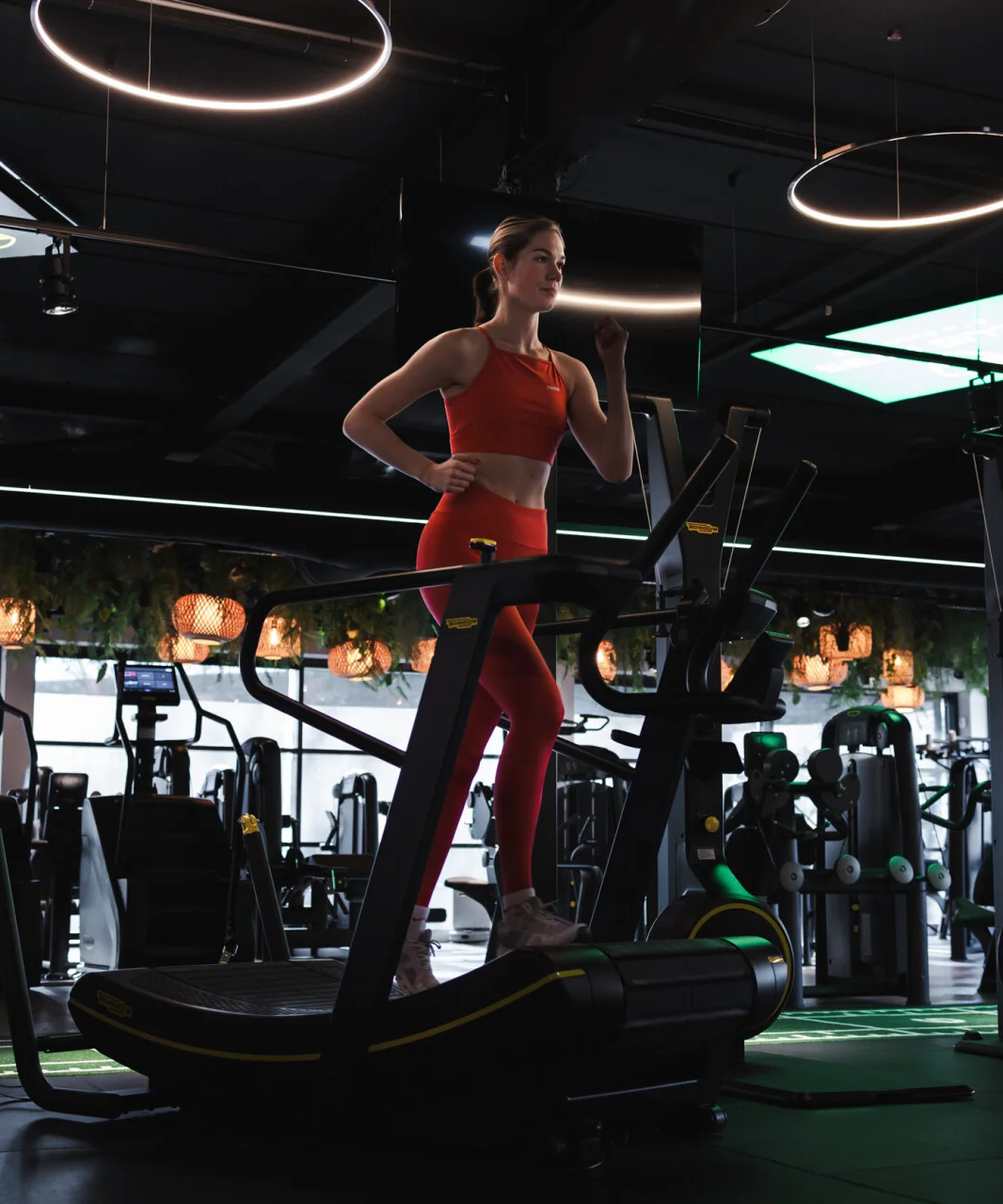 Personal Trainer coaching session